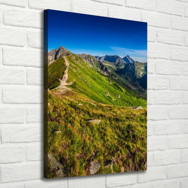 Vertikální Foto obraz tištěný na plátně Tatry ocv-99701533