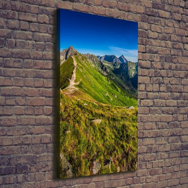 Vertikální Foto obraz tištěný na plátně Tatry ocv-99701533