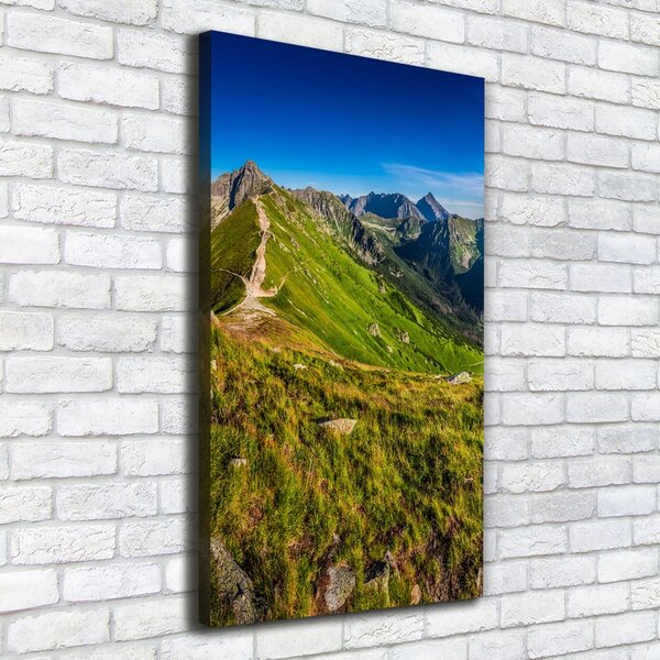 Vertikální Foto obraz tištěný na plátně Tatry ocv-99701533