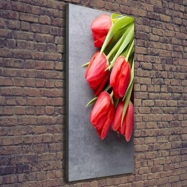 Vertikální Foto obraz na plátně Červené tulipány ocv-99719823