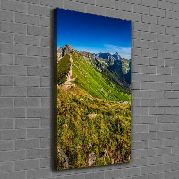 Vertikální Foto obraz tištěný na plátně Tatry ocv-99701533