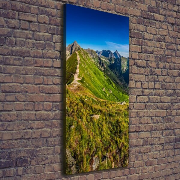 Vertikální Foto obraz tištěný na plátně Tatry ocv-99701533