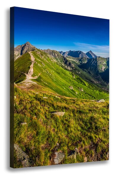 Vertikální Foto obraz tištěný na plátně Tatry ocv-99701533