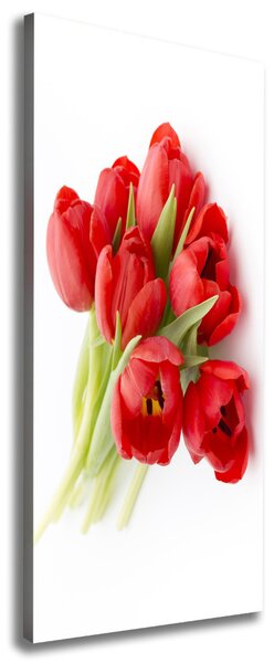 Vertikální Foto obraz na plátně Červené tulipány ocv-99817079