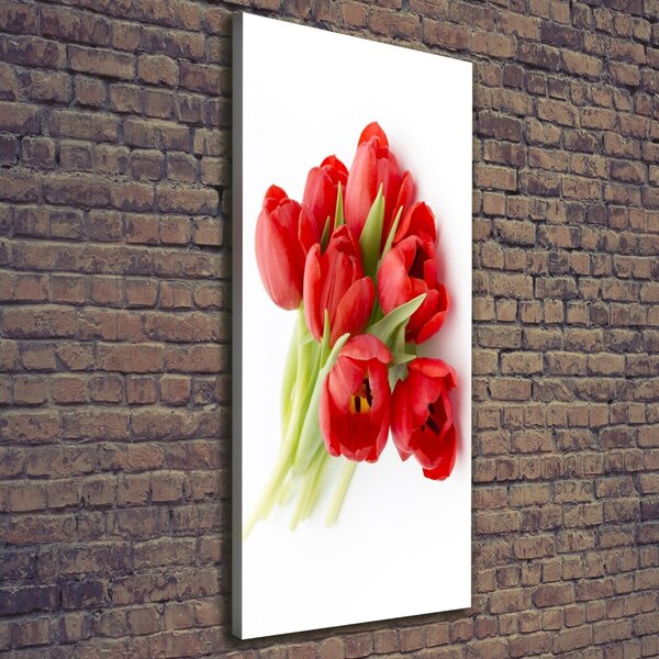 Vertikální Foto obraz na plátně Červené tulipány ocv-99817079