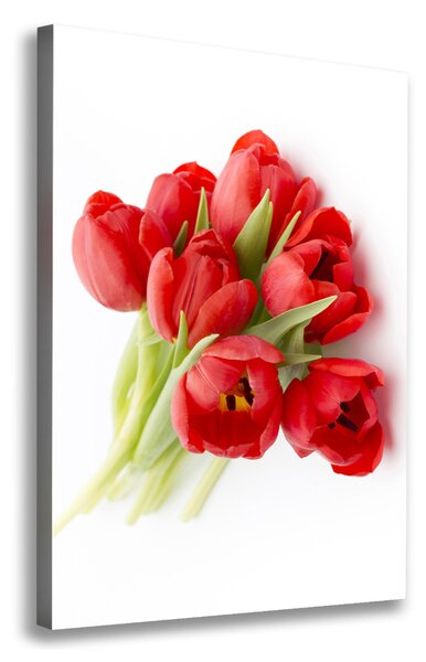 Vertikální Foto obraz na plátně Červené tulipány ocv-99817079