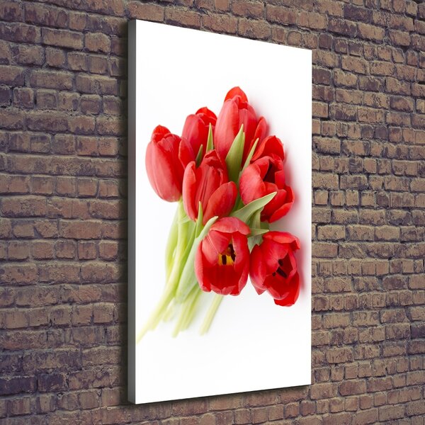 Vertikální Foto obraz na plátně Červené tulipány ocv-99817079