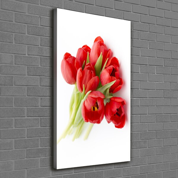 Vertikální Foto obraz na plátně Červené tulipány ocv-99817079