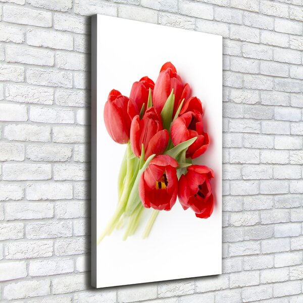 Vertikální Foto obraz na plátně Červené tulipány ocv-99817079