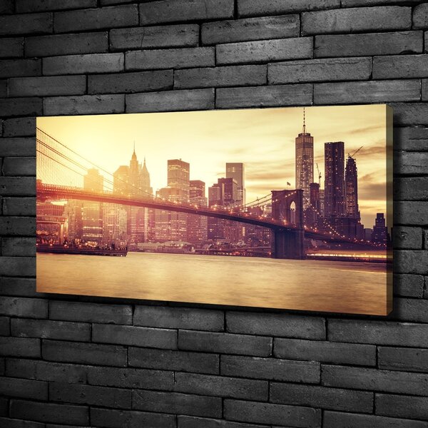 Foto obraz na plátně Manhattan New York oc-100207624