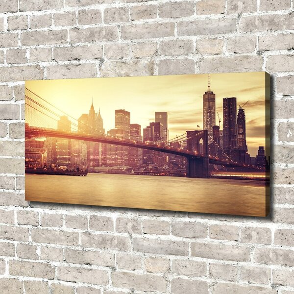 Foto obraz na plátně Manhattan New York oc-100207624