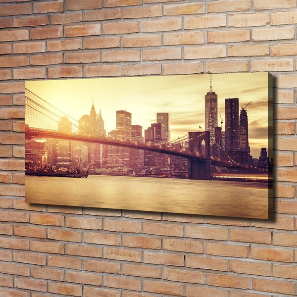 Foto obraz na plátně Manhattan New York oc-100207624