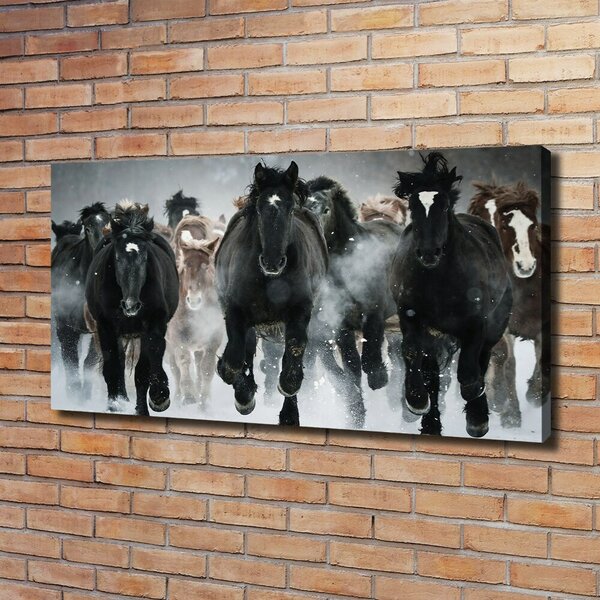 Moderní fotoobraz canvas na rámu Koně ve cvalu oc-100599120