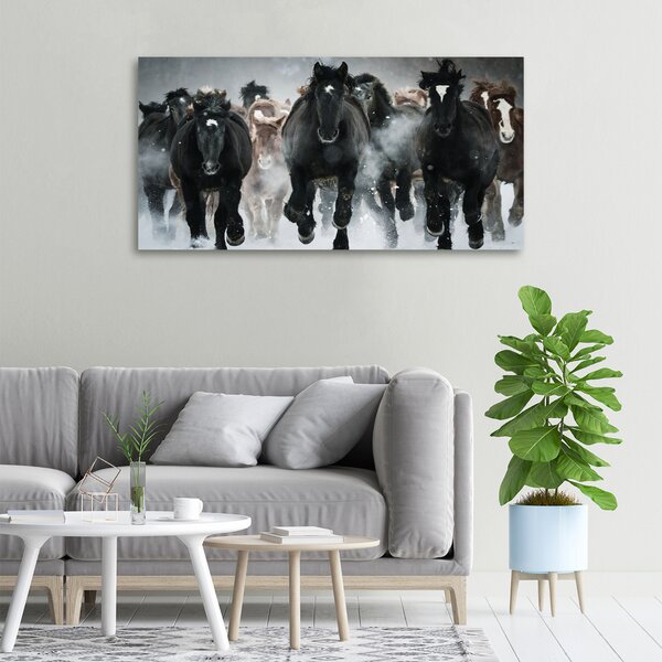 Moderní fotoobraz canvas na rámu Koně ve cvalu oc-100599120