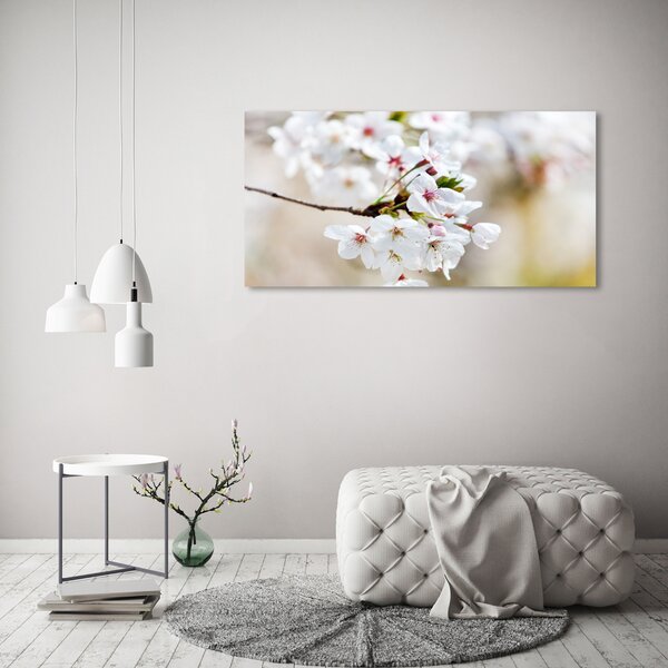 Moderní obraz canvas na rámu Květy višně oc-100965392