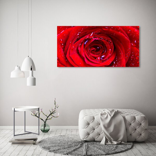 Foto obraz canvas Květ růže oc-100979783