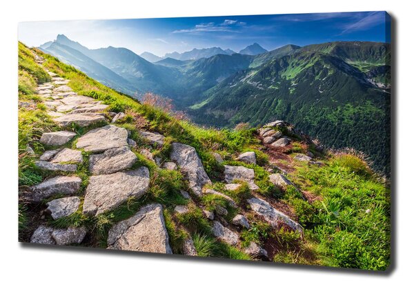 Foto obraz canvas Východ slunde Tatry oc-101364887