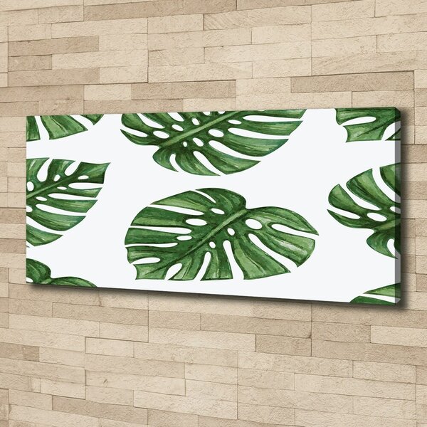 Foto obraz na plátně Monstera oc-101795652