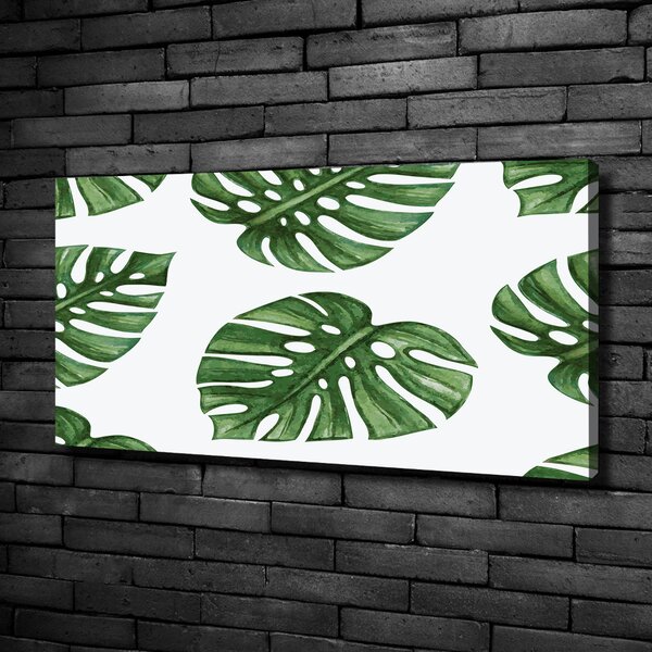 Foto obraz na plátně Monstera oc-101795652