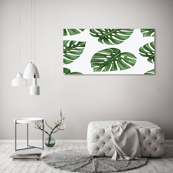 Foto obraz na plátně Monstera oc-101795652