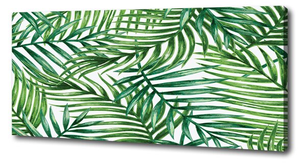 Foto obraz na plátně Listí palmy oc-101795762