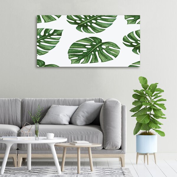 Foto obraz na plátně Monstera oc-101795652