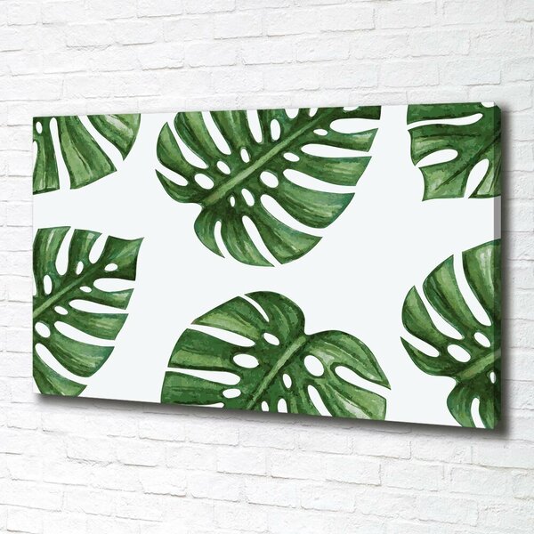 Foto obraz na plátně Monstera oc-101795652