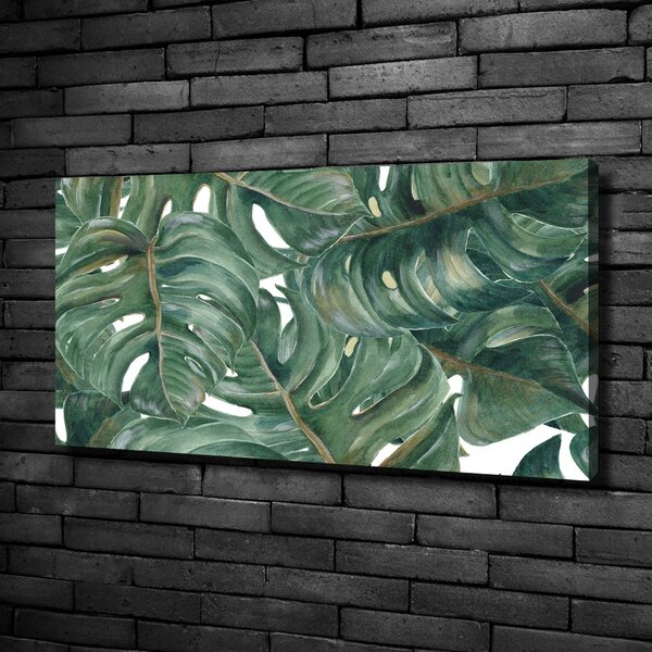 Foto obraz na plátně Monstera oc-101969533
