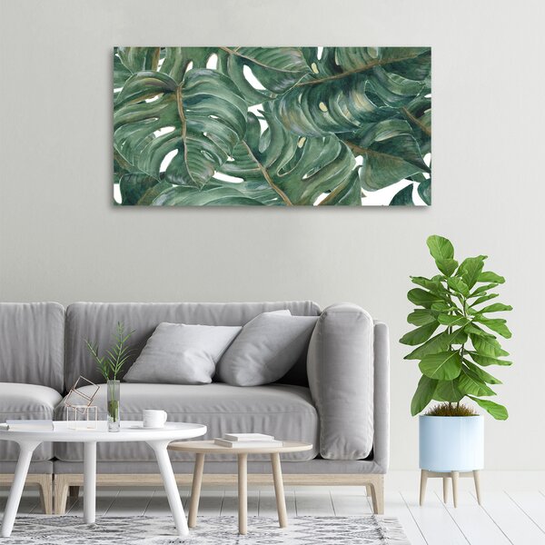 Foto obraz na plátně Monstera oc-101969533