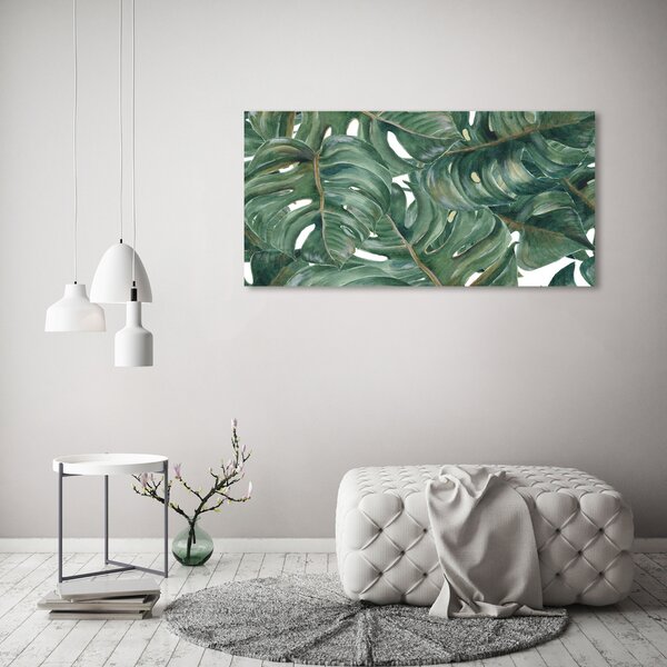 Foto obraz na plátně Monstera oc-101969533