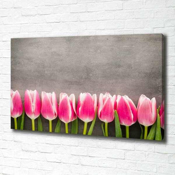 Foto obraz na plátně do obýváku Růžové tulipány oc-102142486