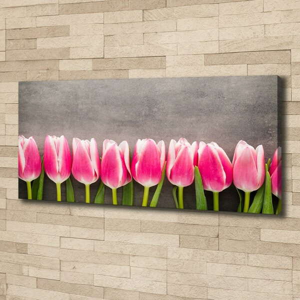 Foto obraz na plátně do obýváku Růžové tulipány oc-102142486
