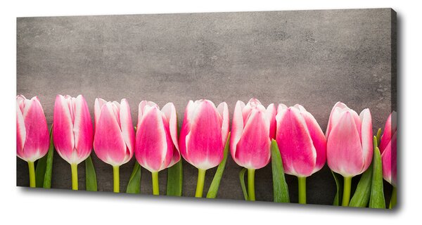 Foto obraz na plátně do obýváku Růžové tulipány oc-102142486