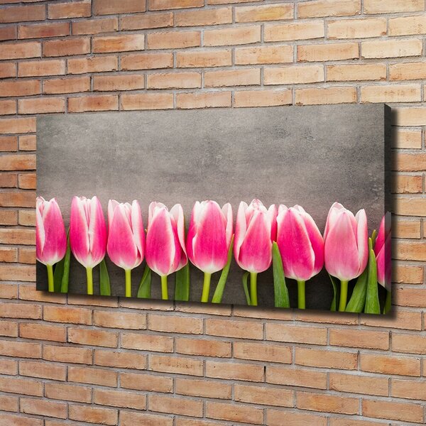 Foto obraz na plátně do obýváku Růžové tulipány oc-102142486