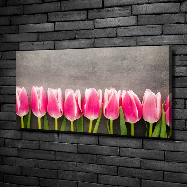 Foto obraz na plátně do obýváku Růžové tulipány oc-102142486