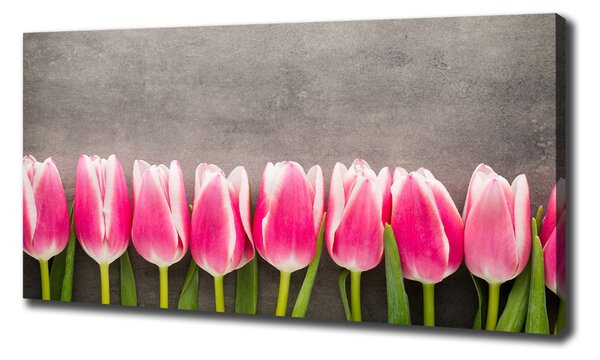 Foto obraz na plátně do obýváku Růžové tulipány oc-102142486