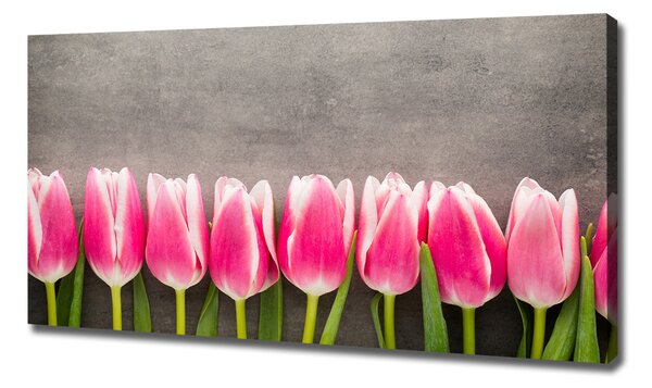 Foto obraz na plátně do obýváku Růžové tulipány oc-102142486