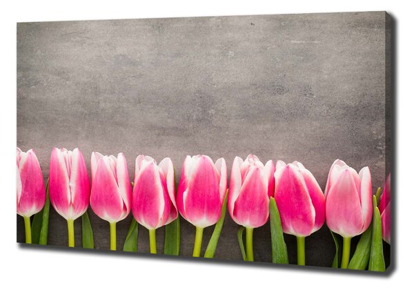 Foto obraz na plátně do obýváku Růžové tulipány oc-102142486