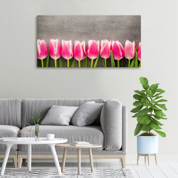 Foto obraz na plátně do obýváku Růžové tulipány oc-102142486