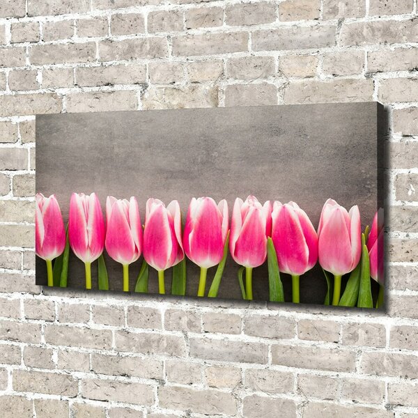 Foto obraz na plátně do obýváku Růžové tulipány oc-102142486