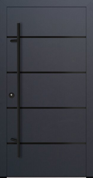 FM Turen - Feldmann & Mayer Vchodové dveře s ocelovým opláštěním FM Turen model DS32 blackline