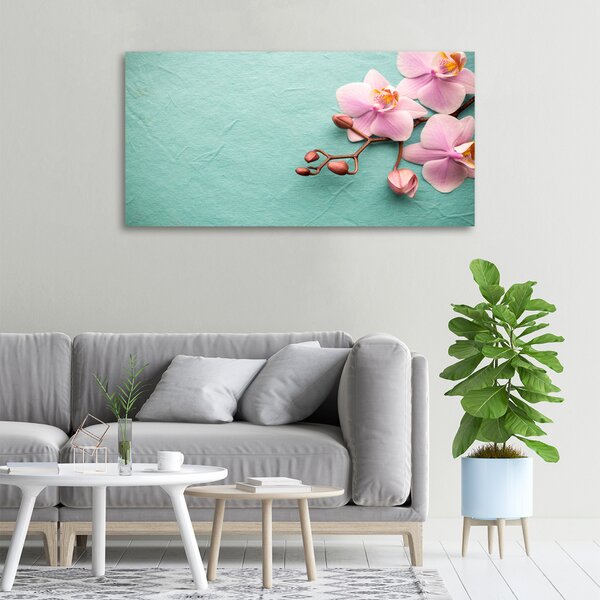 Foto obraz na plátně do obýváku Orchidej oc-102905480