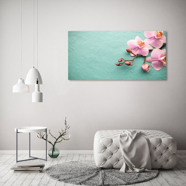 Foto obraz na plátně do obýváku Orchidej oc-102905480