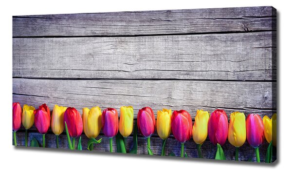 Foto obraz na plátně Tulipány na stromě oc-103218042