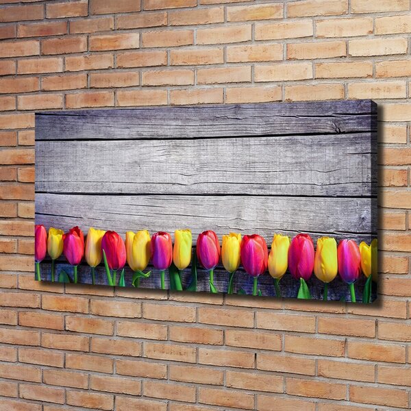 Foto obraz na plátně Tulipány na stromě oc-103218042