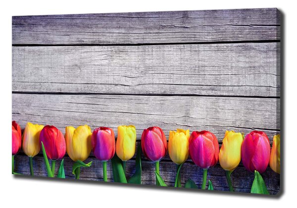 Foto obraz na plátně Tulipány na stromě oc-103218042