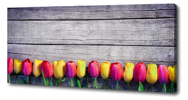 Foto obraz na plátně Tulipány na stromě oc-103218042