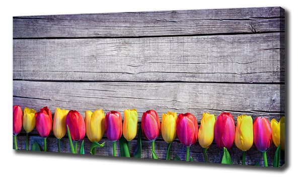Foto obraz na plátně Tulipány na stromě oc-103218042