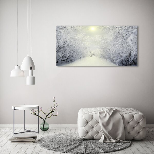 Foto obraz fotografie na skle Hezký zimní les osh-103882841