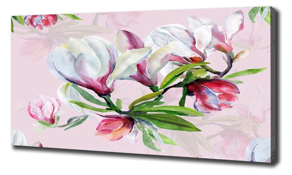 Foto obraz tištěný na plátně Květiny magnolie oc-104301807